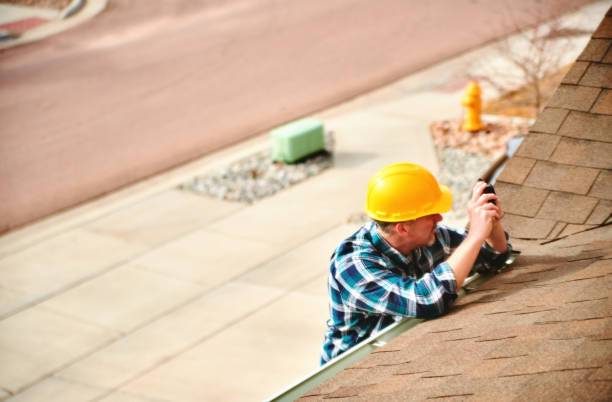 Best Roof Gutter Cleaning  in Auberry, CA